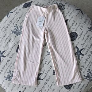 Zara Stripped Pants